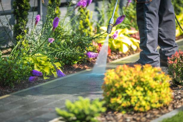 Best Fence Cleaning  in Johnsonburg, PA