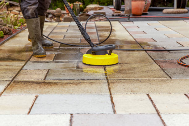 Animal Enclosure Cleaning in Johnsonburg, PA